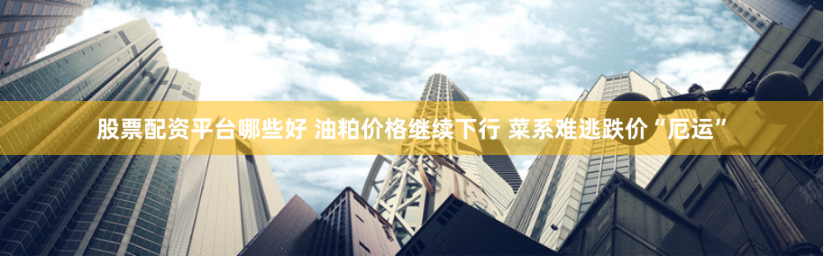股票配资平台哪些好 油粕价格继续下行 菜系难逃跌价“厄运”