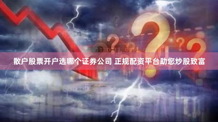 散户股票开户选哪个证券公司 正规配资平台助您炒股致富